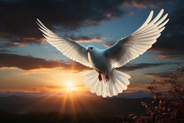 Obraz premium White Dove fly on Beautiful light sky and lens flare. White pigeon fly on Beautiful sunset view background for Freedom concept and international day of peace.