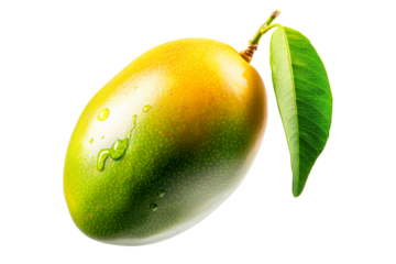 Ripe mango with green leaves and water drops isolated on white transparent background, colorful, organic, exotic, and delicious.