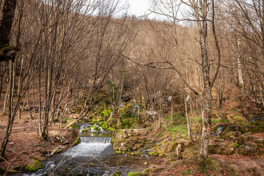 Picture of the lake of Grza spring in Paracin, Serbia. Vrelo Grze is a picturesque natural spring and a popular outing destination near Paraćin in Serbia. It's nestled at the foot of the Južni Kučaj m