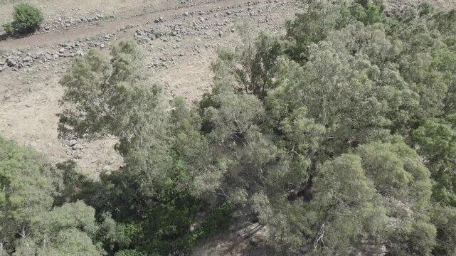 Aerial video over ein tut golan heights Israel