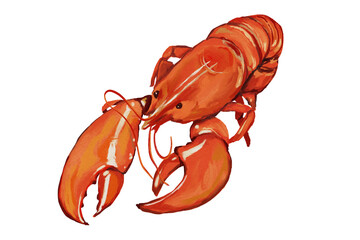 lobster summer Hand drawn on a transparent background.