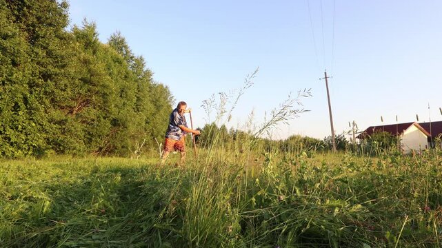Man in Burmuda shirt mows grass in field with steel scythe with wooden shaft.