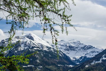 Bergblick von Interlaken