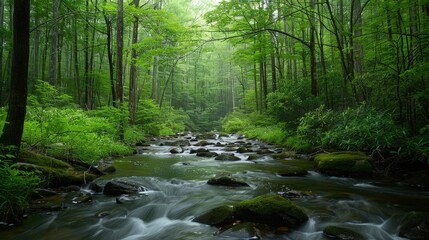 The sound of a babbling brook winding through a forest provides a peaceful backdrop, inviting quiet reflection and a connection with nature.