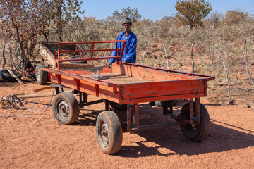 Village african Motswana man in the yard in the back of his donkey cart