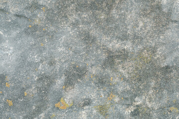 Rough surface of a gray stone with rosettes of lichen, natural rock background.