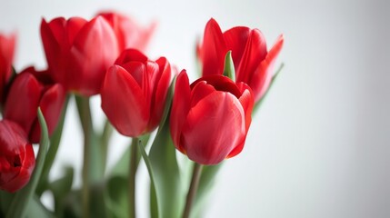 Fototapeta premium White backgrounds offer a versatile canvas, making colors and details of the subject pop with clarity.