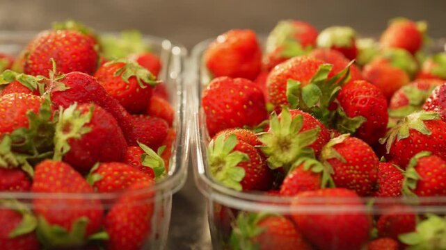 Background video of prepackaged strawberries lying in plastic boxes ready for sale. Juicy organic seasonal berry. High quality 4k footage
