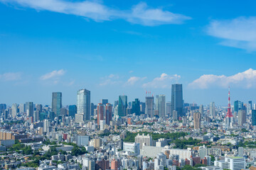 Obraz premium 東京風景