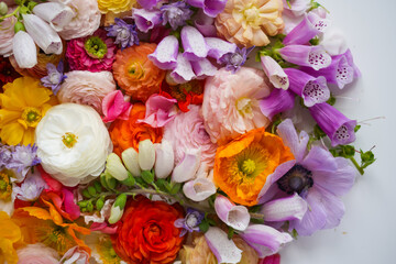 many different fresh flowers, floral color background