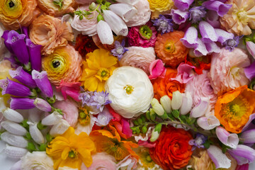 Big group of colorful flowers, top view of mixed fresh modern flowers. Flower farm harvest. Floral cover composition