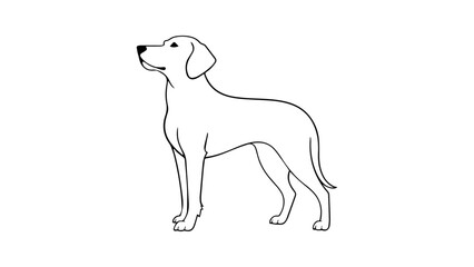 simple illustration of dog standing and watching 