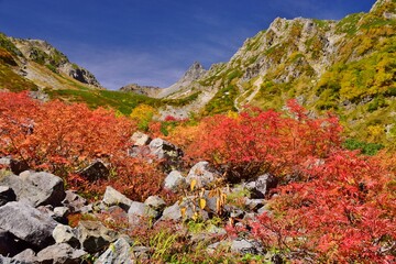 秋・紅葉の氷河公園 槍ヶ岳