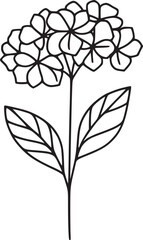 Adobe IllustraThis is a black and white line drawing of a hydrangea flower. The drawing features a large, rounded cluster of small, delicate flowers, each with five petals. The cluster is stor Artwork
