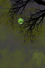 งานศิลปะที่ไม่มีชื่อ