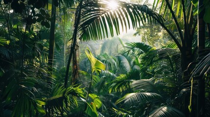 Naklejka premium Tropical background green plant leaf South America forest jungle palm tree