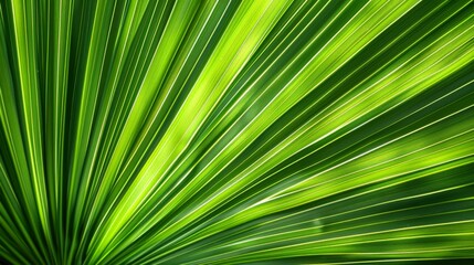 Obraz premium This close-up image showcases intricate green leaf texture with vivid sunlight highlights, displaying nature's artistry in vibrant ecological details and structure.