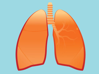 Human lungs. Human internal organs. Anatomy, medicine concept. Healthcare. Isolated on a blue background. Detailed vector illustration