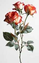 Close-up of beautiful red and white roses with green leaves in a vertical composition, showcasing natural beauty and elegance.