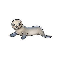 Fototapeta premium Watercolor baby seal with large eyes lying on its back with flippers up isolated on white and transparent background