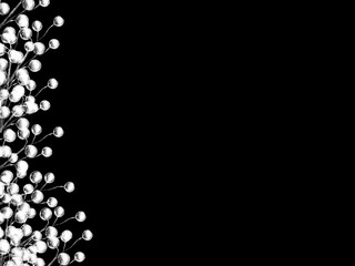 Monochrome background of white flowers in bloom