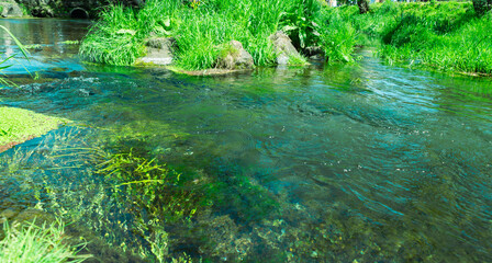 美しい忍野八海