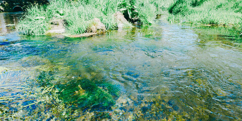 美しい忍野八海