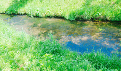 美しい忍野八海