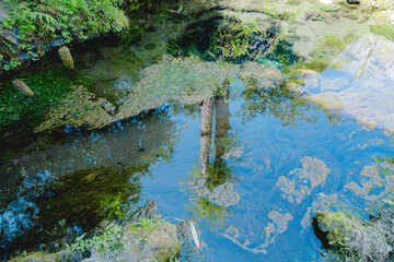 美しい忍野八海