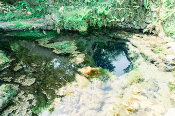 美しい忍野八海