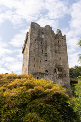 Fototapeta premium St Finbar's Cathedral is an Anglican Christian building in Cork