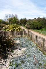 Obraz premium Jardin maritime, Ile de Tatihou, Saint Vaast la Hougue, Site naturel protégé, Manche, 50, France