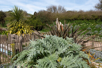 Jardin maritime, Ile de Tatihou, Saint Vaast la Hougue, Site naturel prot&eacute;g&eacute;,  Manche, 50, France