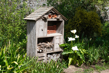 Hôtel à insectes, Jardin maritime, Ile de Tatihou, Saint Vaast la Hougue, Site naturel protégé,  Manche, 50, France