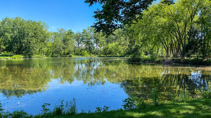 Summer Day at the Park with Pond