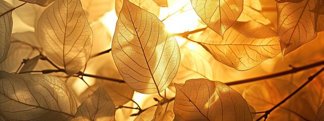 Glowing leaves in soft background, evoking spiritual energy and knowledge, serene ambiance for meditation and contemplation,generative ai