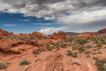 Valley of Fire landscape in Moapa Valley Nevada