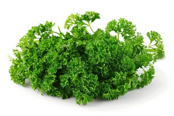 Obraz premium parsley on isolated background
