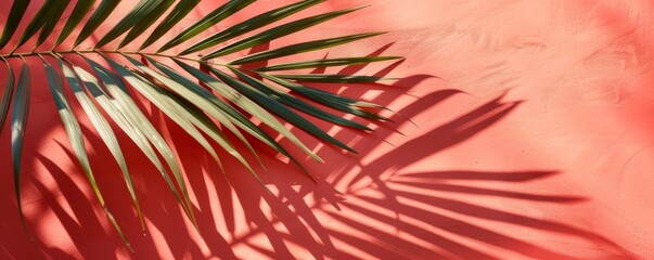 Palm leaf casting shadow on a coral pink background, summer tropical concept