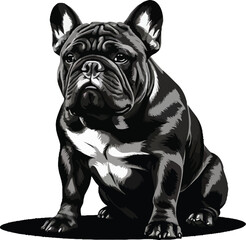 Bulldog silhouette vector black and white background