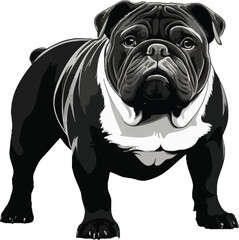 Bulldog silhouette vector black and white background