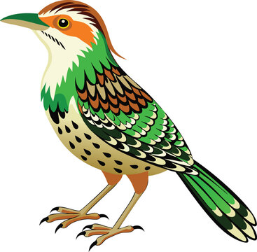 colorful bird standing profile view clip art preview