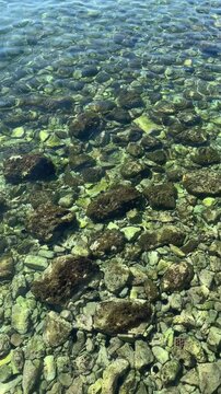 Stones, pebbles, sea ​​urchin in the crystal clear sea water, vertical video