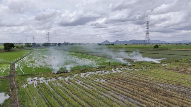 Burning rice field after harvesting burning rice straw for farming new rice Thailand.
