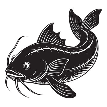 recommend clip art: Catfish fish collection illustration vector