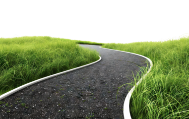 Winding asphalt path through green grass, cut out