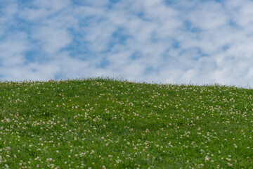 green grass and blue sky with slight clouds