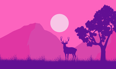 Silhouette of wild deer Grass trees in the afternoon