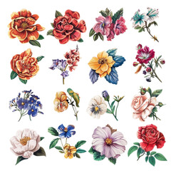 Collection of vibrant, hand-drawn flowers in various colors and styles, perfect for decorating or artistic projects.
