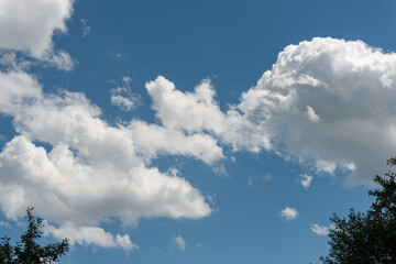 Obraz premium clouds in a blue sky over trees